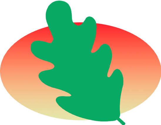 Oak Island Inn, North Carolina Motel