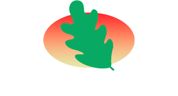 Oak Island Inn Motel in Oak Island, North Carolina